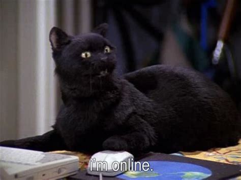 salem saberhagen cat|salem saberhagen voice.